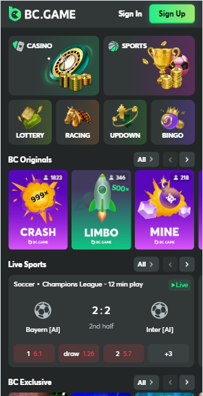 Understanding the Importance of BC.Game KYC in Online Gaming Understanding the Importance of BC.Game KYC in Online Gaming