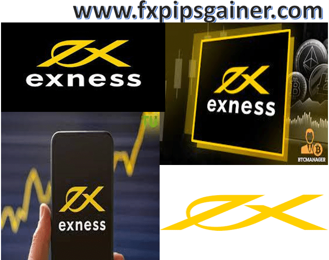Trade Crypto On Exness Your Guide to Success Trade Crypto On Exness Your Guide to Success