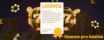 Top casina Vše, co potřebujete vědět pro nezapomenutelný zážitek