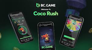 Exploring the BC.Game IN App A Revolution in Online Gaming